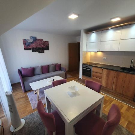 Nina Apartman Сокобаня Экстерьер фото