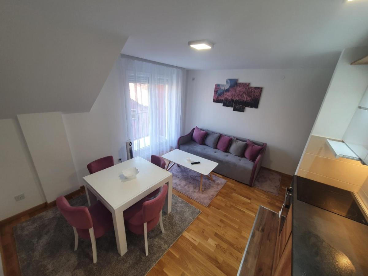 Nina Apartman Сокобаня Экстерьер фото